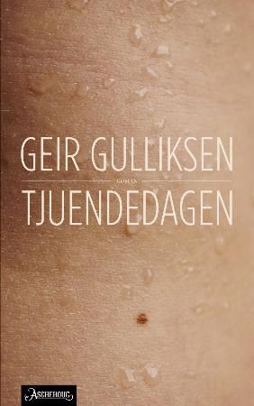 Tjuendedagen - roman