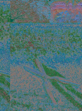 Resignasjon og portvin - roman