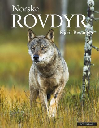 "Norske rovdyr" av Kjetil Bevanger