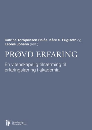 Prøvd erfaring - en vitenskapelig tilnærming til erfaringslæring i akademia