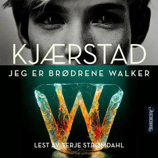 "Jeg er brødrene Walker" av Jan Kjærstad
