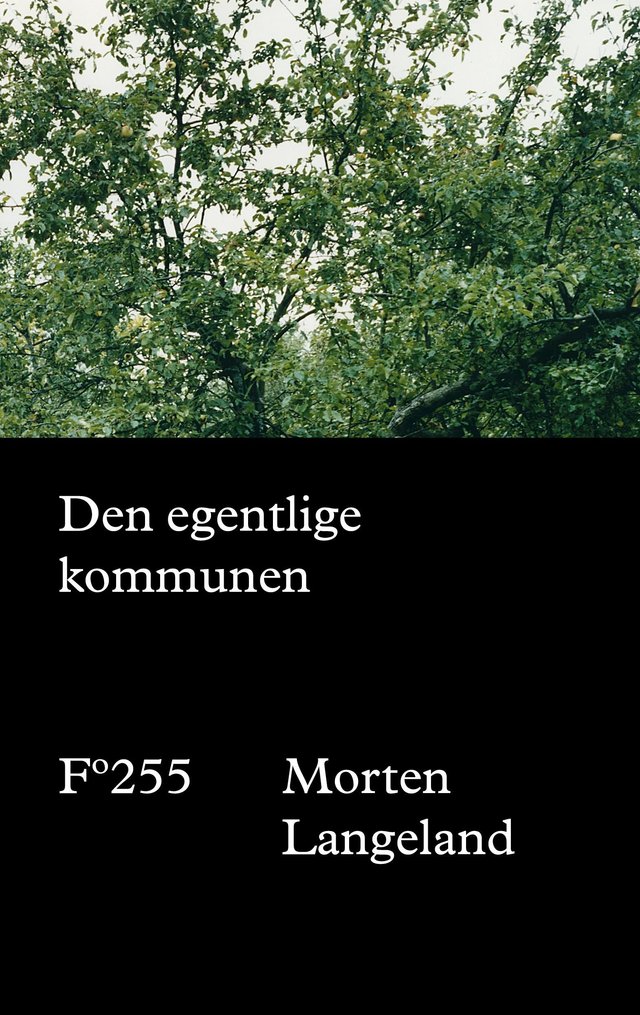 "Den egentlige kommunen" av Morten Langeland