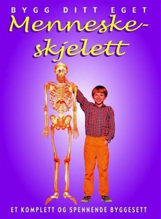 Bygg ditt eget menneskeskjelett - et komplett og spennende byggesett