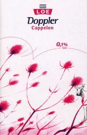 "Doppler roman" av Erlend Loe