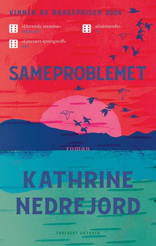 Sameproblemet - roman
