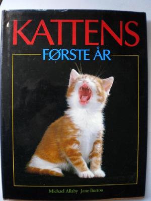 Kattens første år