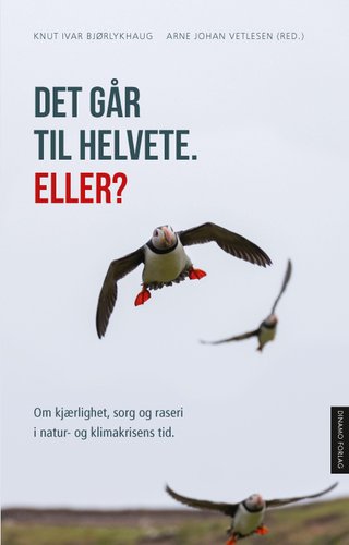 Det går til helvete. Eller? - kjærlighet, sorg og raseri i natur- og klimakrisens tid