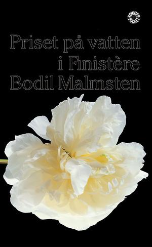 "Priset på vatten i Finistère" av Bodil Malmsten