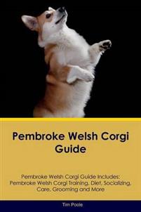 Pembroke Welsh Corgi Guide - Pembroke Welsh Corgi Guide Includes: Pembroke Welsh Corgi Training, Diet, Socializing, Care, Grooming, Breeding and More