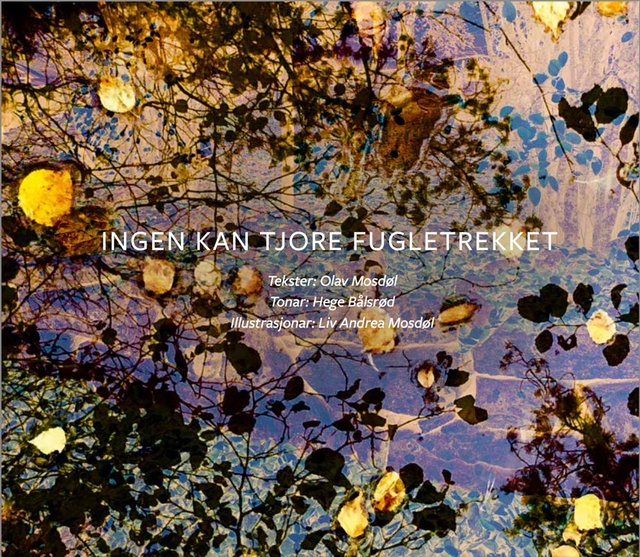 "Ingen kan tjore fugletrekket" av Olav Mosdøl