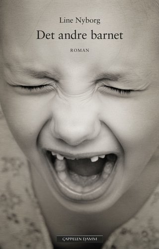 Det andre barnet - roman