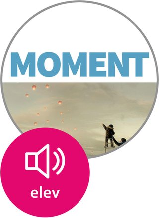 "Moment vg1" av Tor Ivar Østmoe