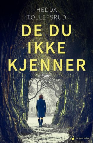 De du ikke kjenner - roman