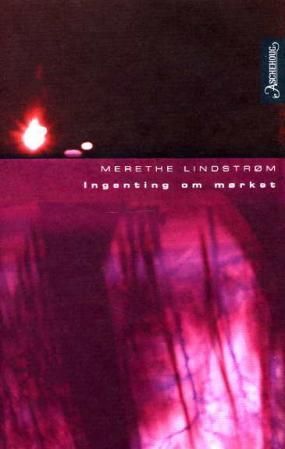 Ingenting om mørket - roman