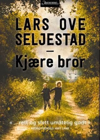 Kjære bror - roman