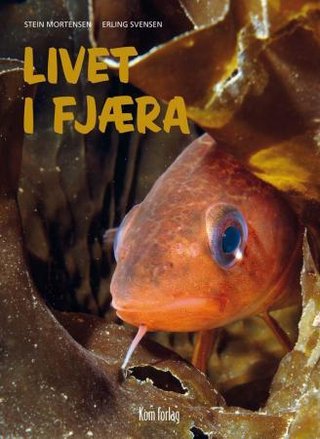 "Livet i fjæra" av Stein Mortensen