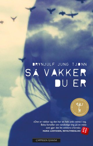 Så vakker du er - ungdomsroman