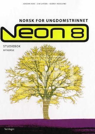 Neon 8 - studiebok