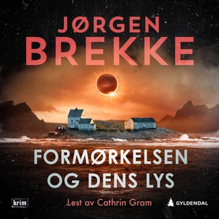 Formørkelsen og dens lys - kriminalroman