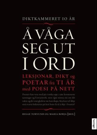 "Å våga seg ut i ord - diktkammeret 10 år" av Helge Torvund