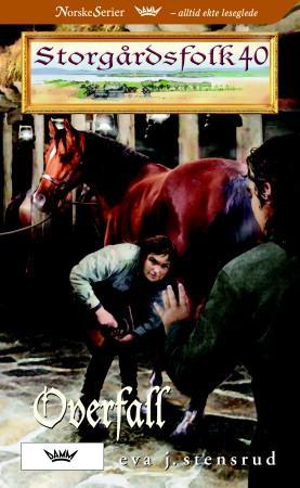 "Overfall" av Eva J. Stensrud