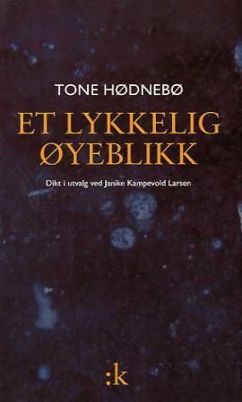Et lykkelig øyeblikk - dikt i utvalg