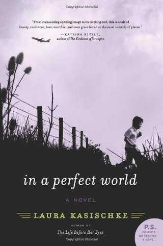 In a Perfect World - A Novel