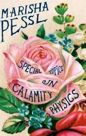 Special topics in calamity physics