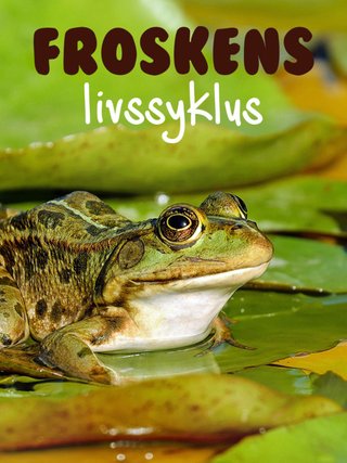 Froskens livssyklus