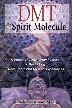 "Dmt the Spirit Molecule" av Rick Strassman