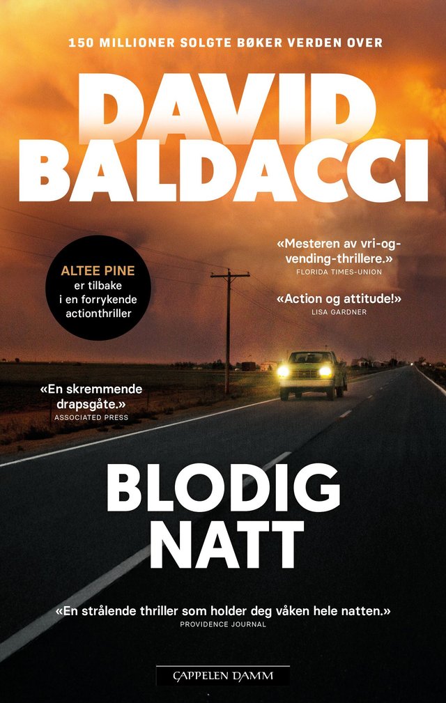 "Blodig natt" av David Baldacci