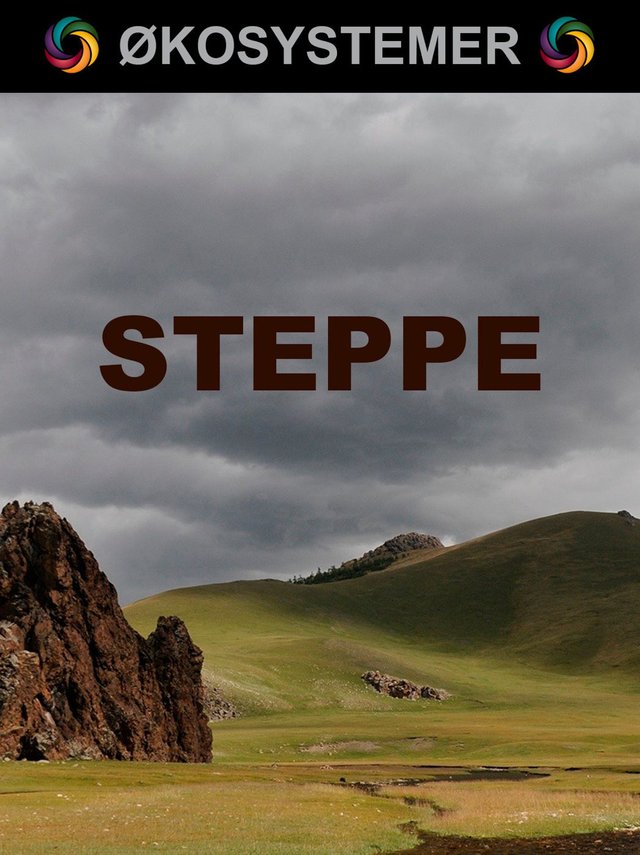 "Steppe" av Edward Alan Kurtz