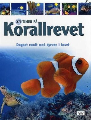Korallrevet - døgnet rundt med dyrene i havet