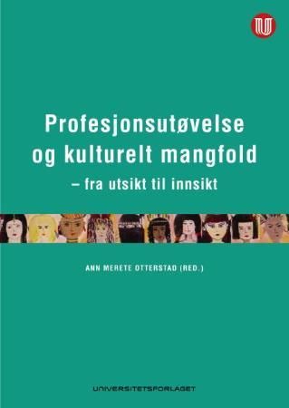 Profesjonsutøvelse og kulturelt mangfold - fra utsikt til innsikt