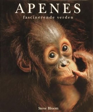 Apenes fascinerende verden