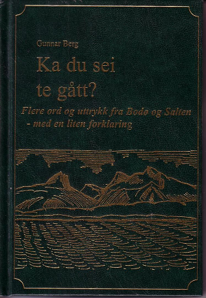 "Ka du sei te gått? Flere ord og uttrykk fra Bodø og Salten - med en liten forklaring" av Gunnar Berg