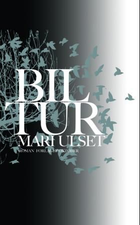"Biltur" av Mari Ulset