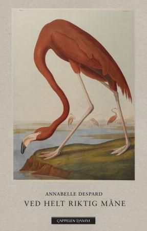 "Ved helt riktig måne dikt" av Annabelle Despard