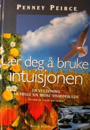Lær deg å bruke intuisjonen - en veiledning i å følge sin indre visdomskilde