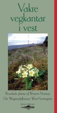 Vakre vegkantar i vest