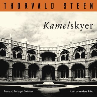 Kamelskyer - roman