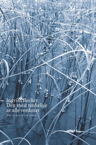 Den mest tenkelige av alle verdener - dikt