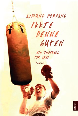 Ikkje denne guten - roman