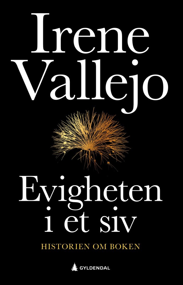 "Evigheten i et siv - historien om boken, antikkens viktigste oppfinnelse" av Irene Vallejo