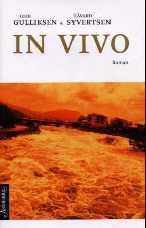 In vivo - roman