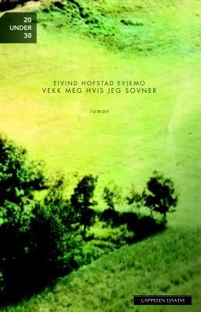 "Vekk meg hvis jeg sovner" av Eivind Hofstad Evjemo