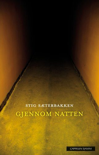 Gjennom natten - roman