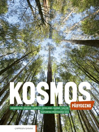 Kosmos påbygging - Lærebok : påbygging til generell studiekompetanse i naturfag