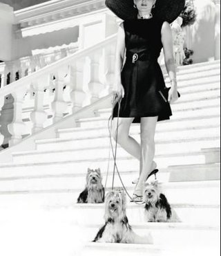 Den uproduktive klasse