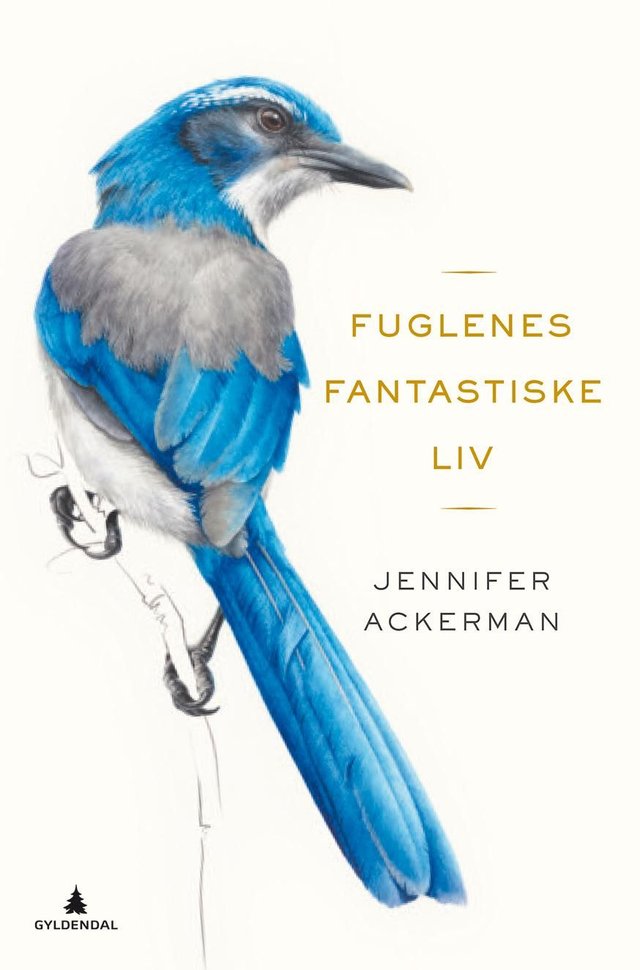 "Fuglenes fantastiske liv" av Jennifer Ackerman